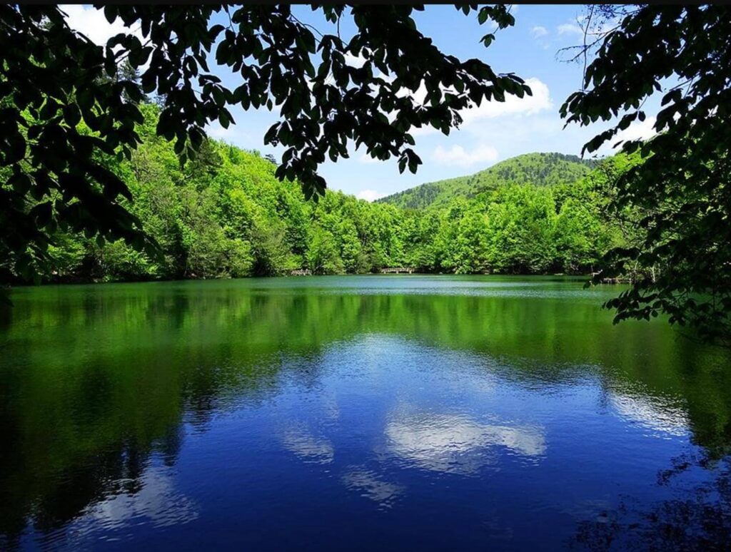 Yedigöller Milli Parkı/Bolu Karavan Park